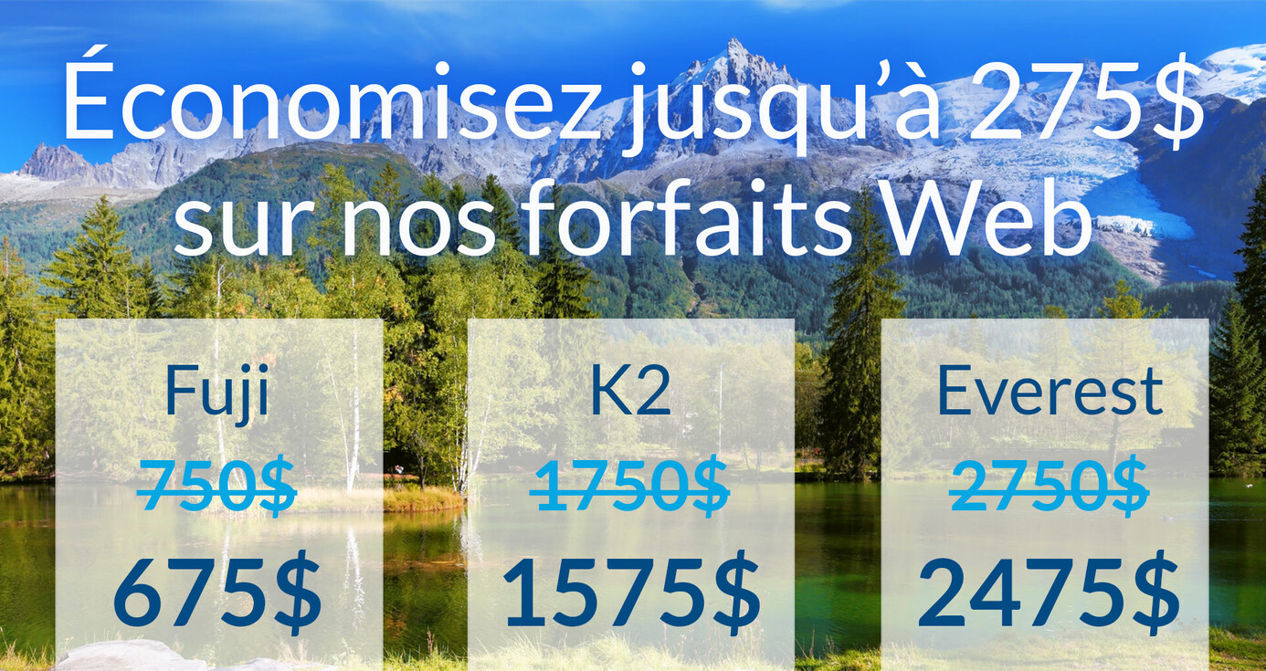 Summer Sale!